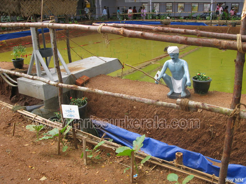 thrissur-pooram-exhibition-2011 (123)